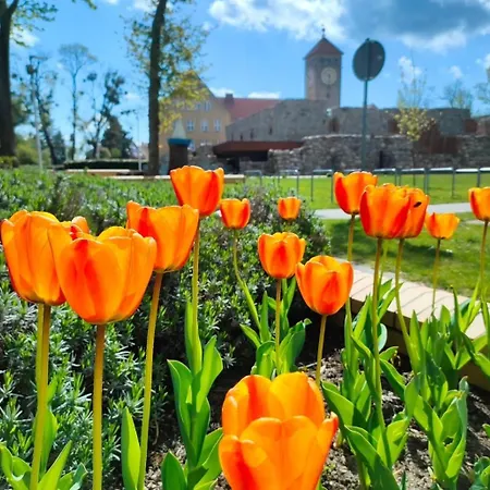 Appartamento Anders 1 *